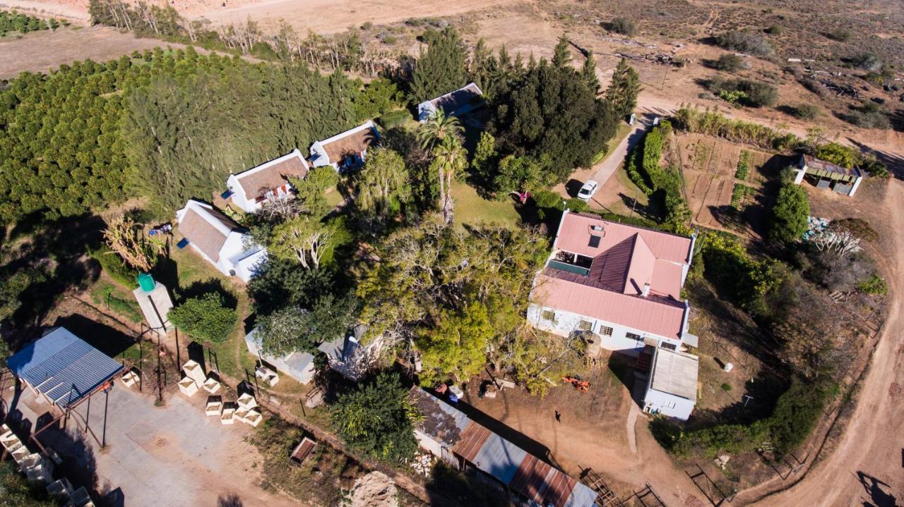 Rosedale Organic Farm Bed & Breakfast Addo Exterior photo